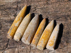 Natural Belemnite Rostrum Fossils x 2.4 Kg Lot From Madagascar - Toprock Gemstones and Minerals 