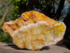 Natural Golden Limonite Quartz Clusters with Black Goethite Inclusions x 2 From Solwezi, Zambia - Toprock Gemstones and Minerals 