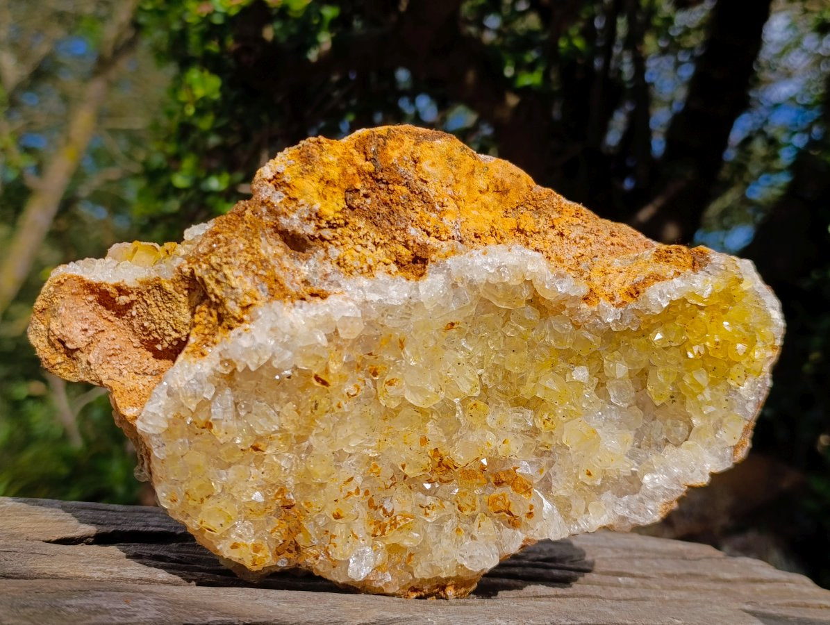 Natural Golden Limonite Quartz Clusters with Black Goethite Inclusions x 2 From Solwezi, Zambia - Toprock Gemstones and Minerals 