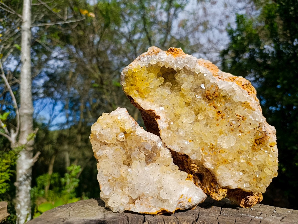 Natural Golden Limonite Quartz Clusters with Black Goethite Inclusions x 2 From Solwezi, Zambia - Toprock Gemstones and Minerals 
