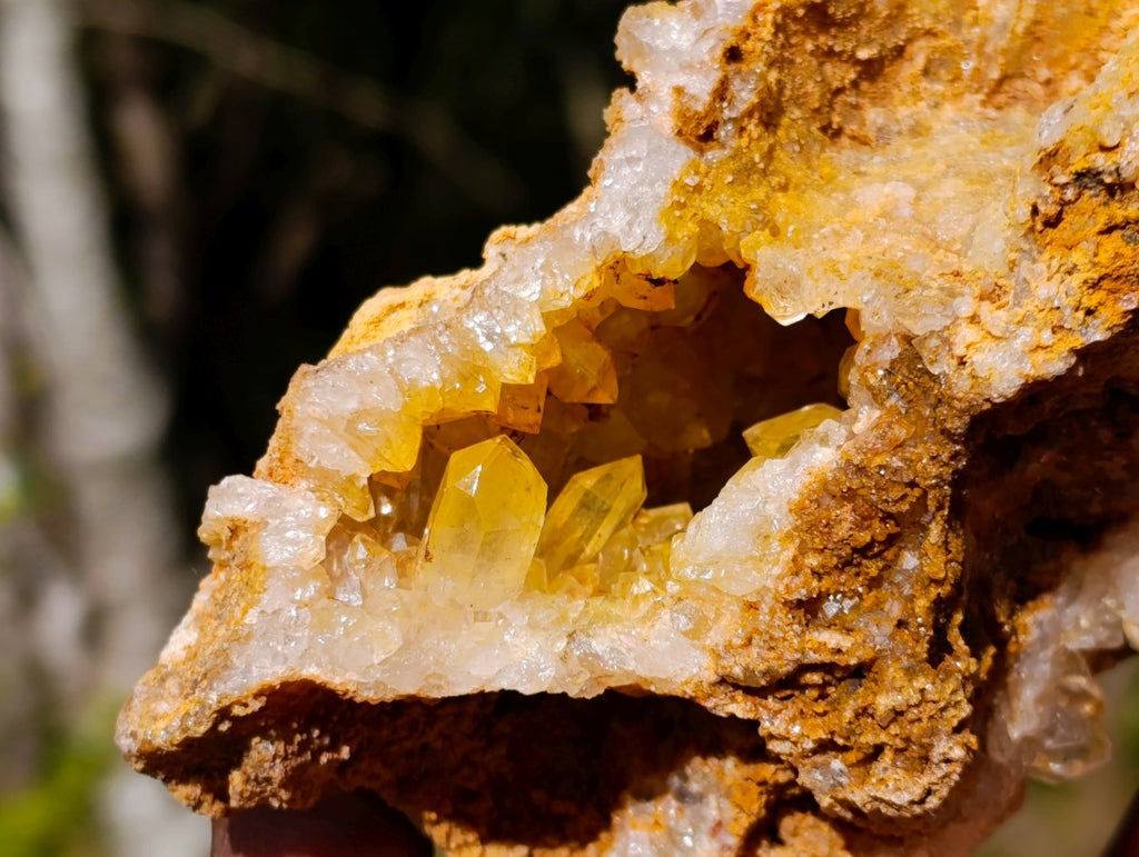 Natural Golden Limonite Quartz Clusters with Black Goethite Inclusions x 2 From Solwezi, Zambia - Toprock Gemstones and Minerals 