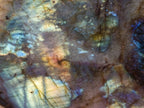 Polished Large Labradorite Standing Display Piece x 1 From Madagascar - Toprock Gemstones and Minerals 