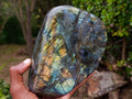 Polished Large Labradorite Standing Display Piece x 1 From Madagascar - Toprock Gemstones and Minerals 