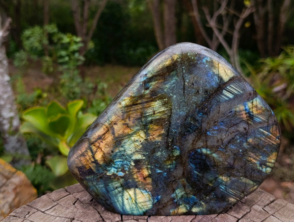 Polished Large Labradorite Standing Display Piece x 1 From Madagascar - Toprock Gemstones and Minerals 