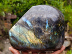Polished Large Labradorite Standing Display Piece x 1 From Madagascar - Toprock Gemstones and Minerals 