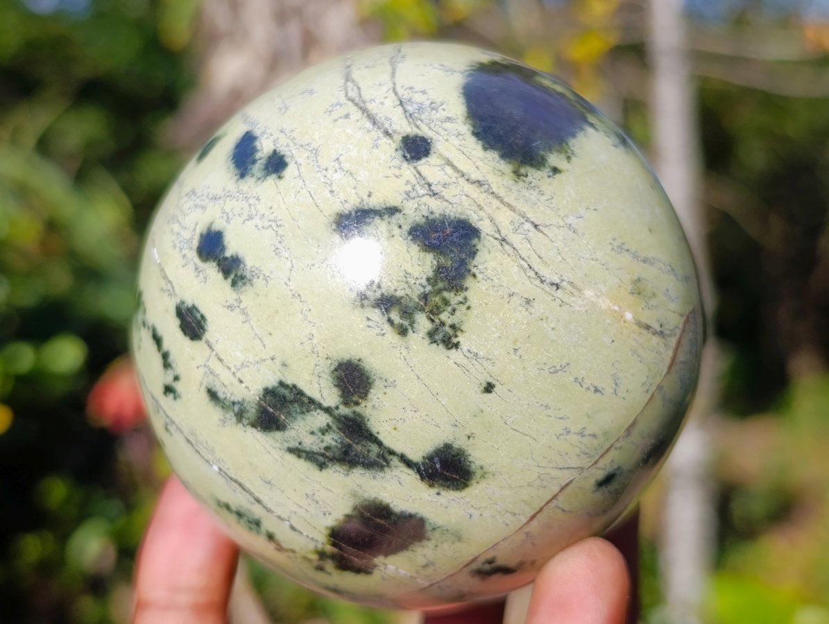Polished Leopard Stone Spheres x 2 From Zimbabwe - Toprock Gemstones and Minerals 