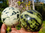 Polished Leopard Stone Spheres x 2 From Zimbabwe - Toprock Gemstones and Minerals 