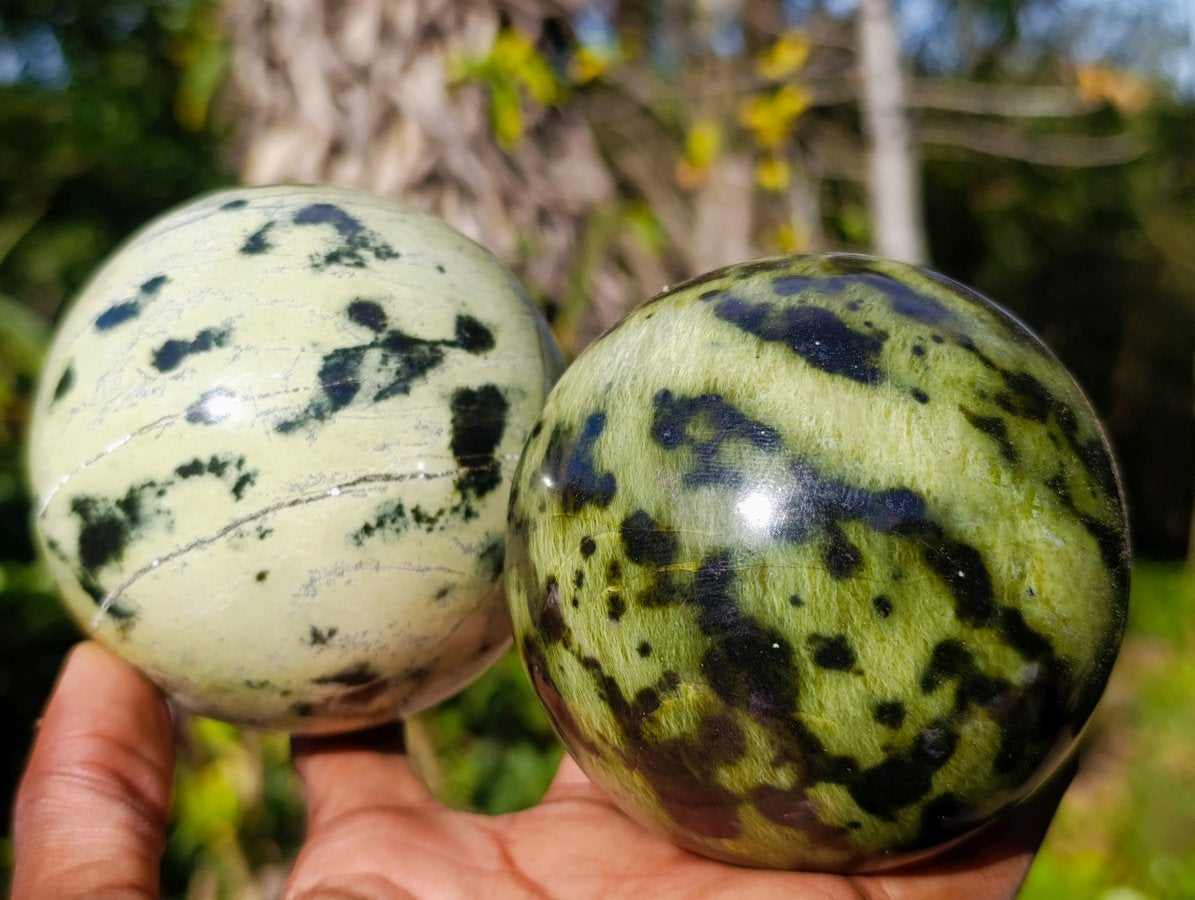 Polished Leopard Stone Spheres x 2 From Zimbabwe - Toprock Gemstones and Minerals 