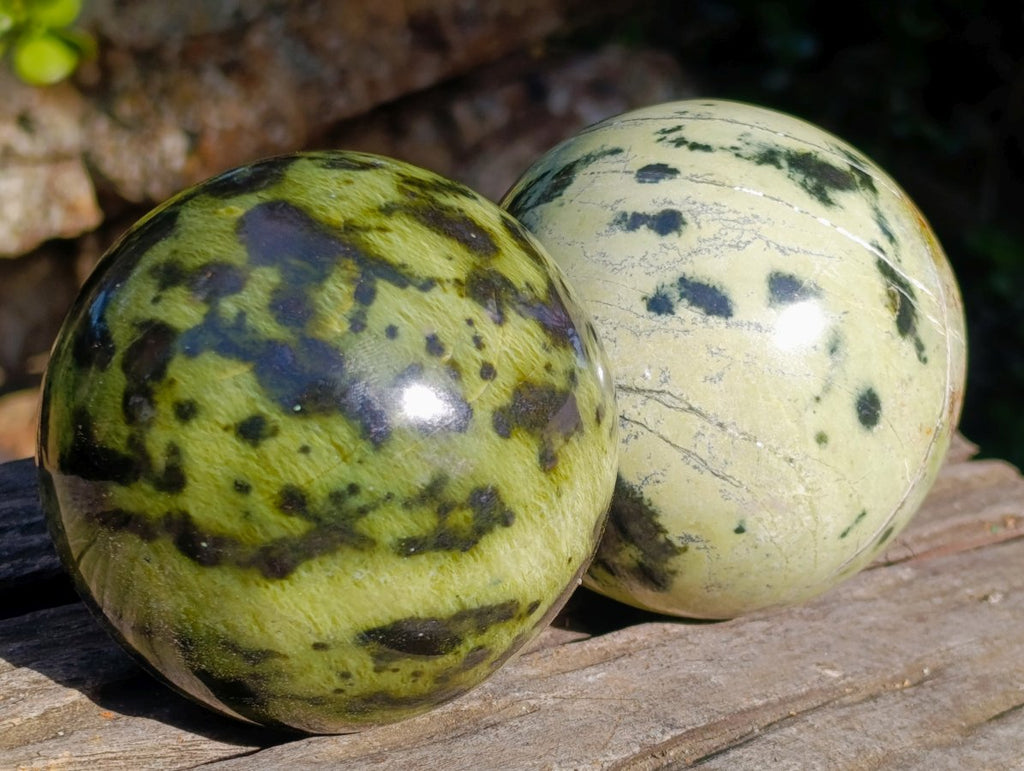 Polished Leopard Stone Spheres x 2 From Zimbabwe - Toprock Gemstones and Minerals 