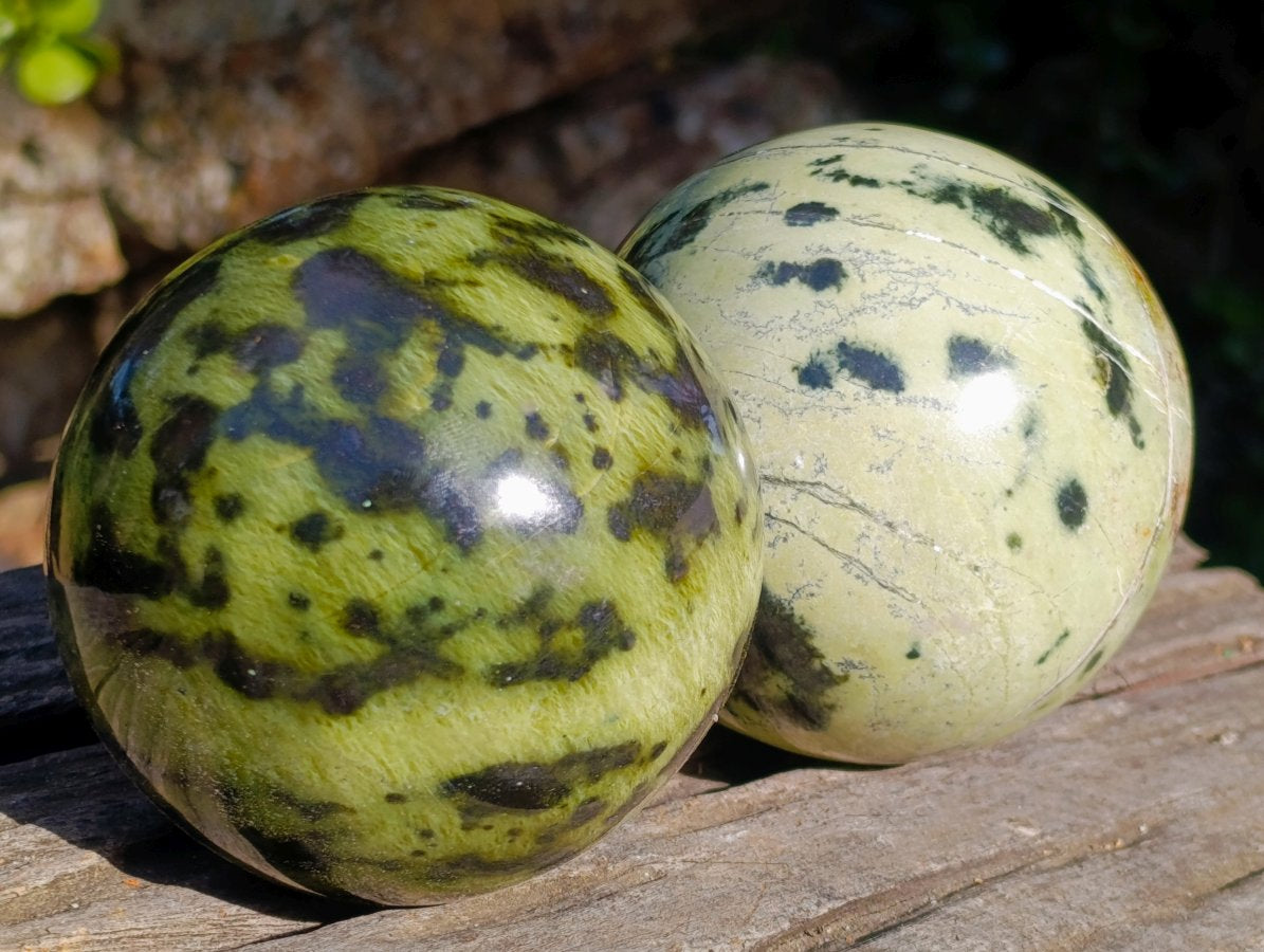 Polished Leopard Stone Spheres x 2 From Zimbabwe - Toprock Gemstones and Minerals 