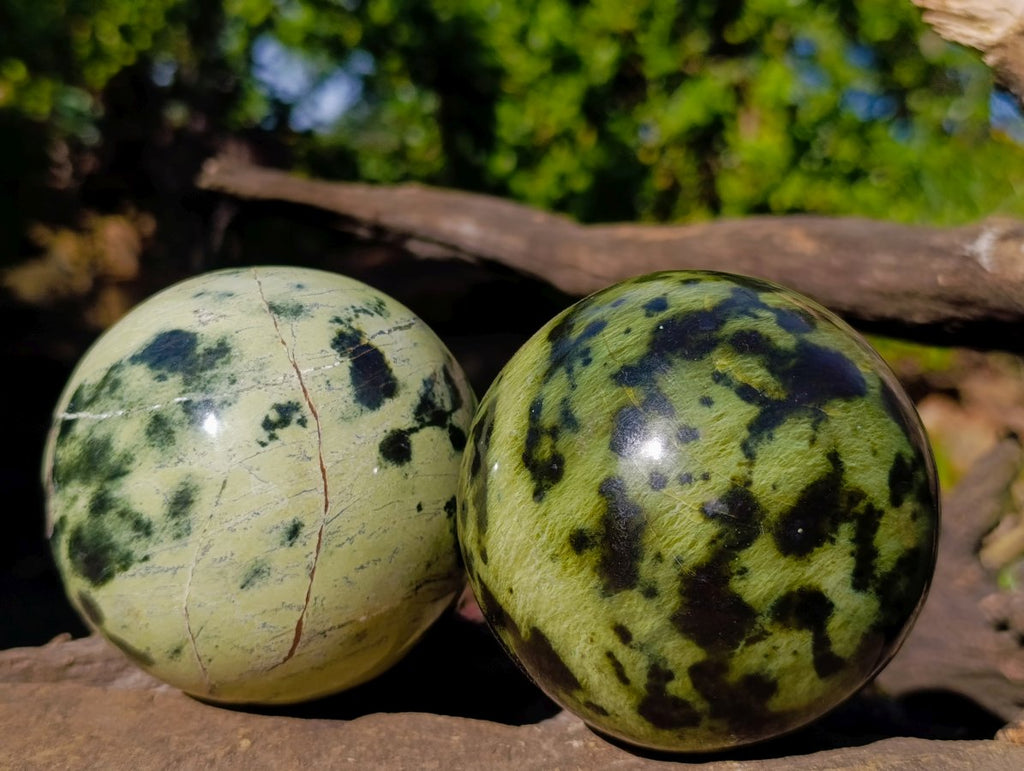 Polished Leopard Stone Spheres x 2 From Zimbabwe - Toprock Gemstones and Minerals 