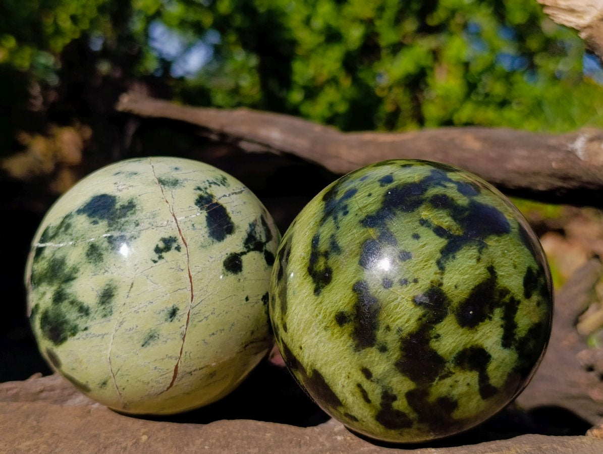 Polished Leopard Stone Spheres x 2 From Zimbabwe - Toprock Gemstones and Minerals 