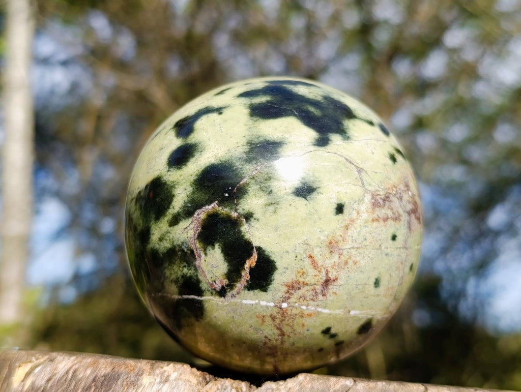 Polished Leopard Stone Spheres x 2 From Zimbabwe - Toprock Gemstones and Minerals 