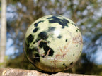 Polished Leopard Stone Spheres x 2 From Zimbabwe - Toprock Gemstones and Minerals 