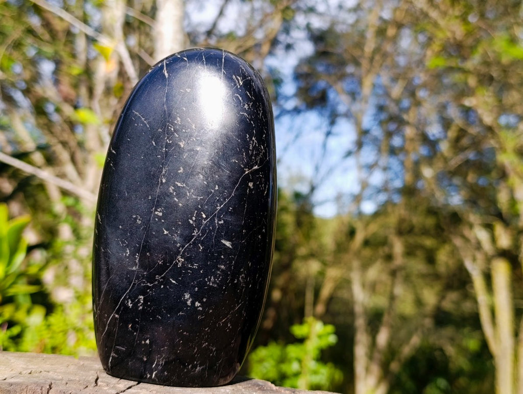Polished Large Black Tourmaline Standing Display Piece x 1 From Madagascar - Toprock Gemstones and Minerals 