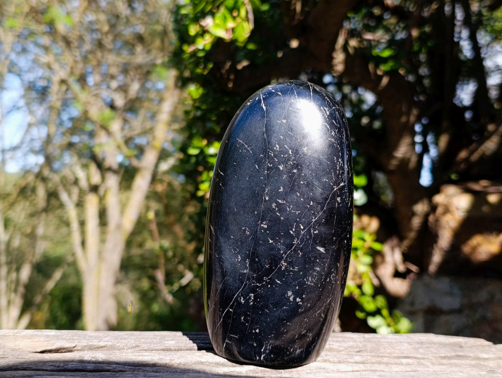 Polished Large Black Tourmaline Standing Display Piece x 1 From Madagascar - Toprock Gemstones and Minerals 
