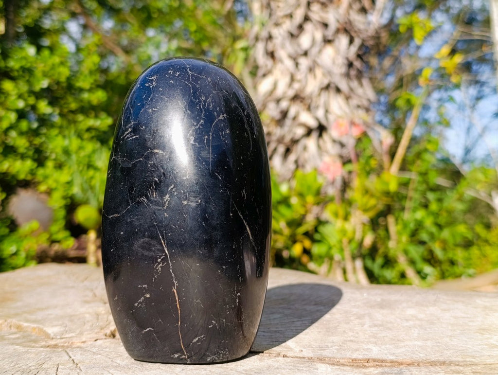 Polished Large Black Tourmaline Standing Display Piece x 1 From Madagascar - Toprock Gemstones and Minerals 