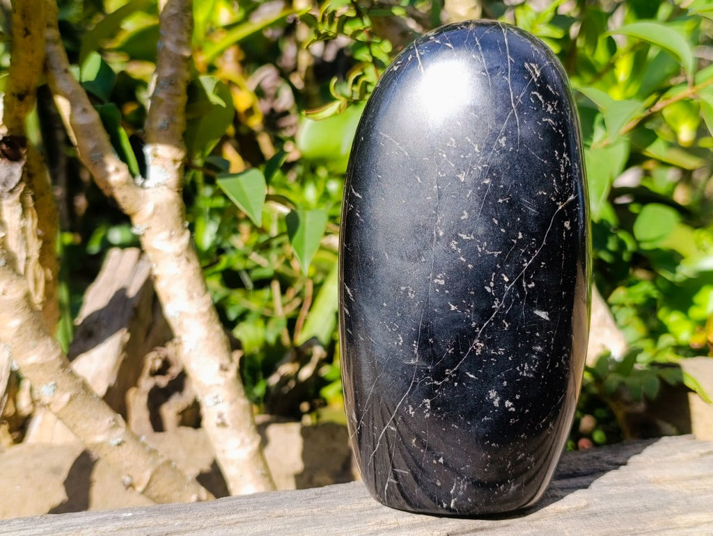 Polished Large Black Tourmaline Standing Display Piece x 1 From Madagascar - Toprock Gemstones and Minerals 