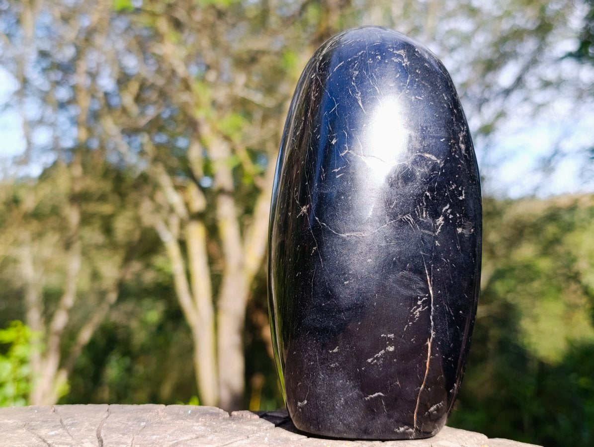 Polished Large Black Tourmaline Standing Display Piece x 1 From Madagascar - Toprock Gemstones and Minerals 