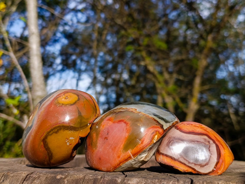 Polished On One Side Polychrome Jasper Nodules x 6 From NW Coast, Madagascar - Toprock Gemstones and Minerals 