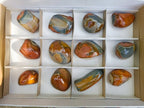 Polished On One Side Polychrome Jasper Nodules x 6 From NW Coast, Madagascar - Toprock Gemstones and Minerals 