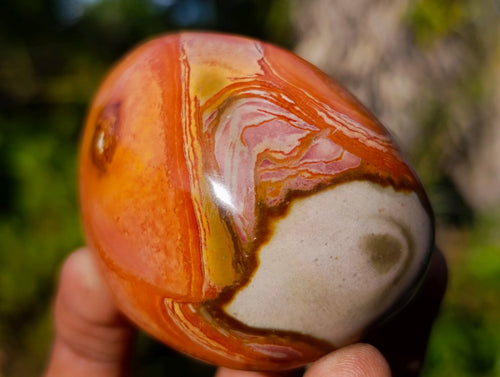 Polished On One Side Polychrome Jasper Nodules x 6 From NW Coast, Madagascar - Toprock Gemstones and Minerals 