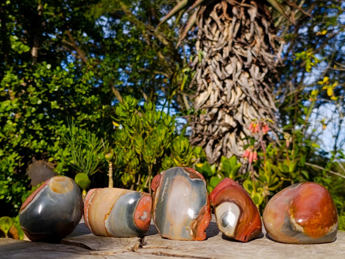 Polished On One Side Polychrome Jasper Nodules x 6 From NW Coast, Madagascar - Toprock Gemstones and Minerals 