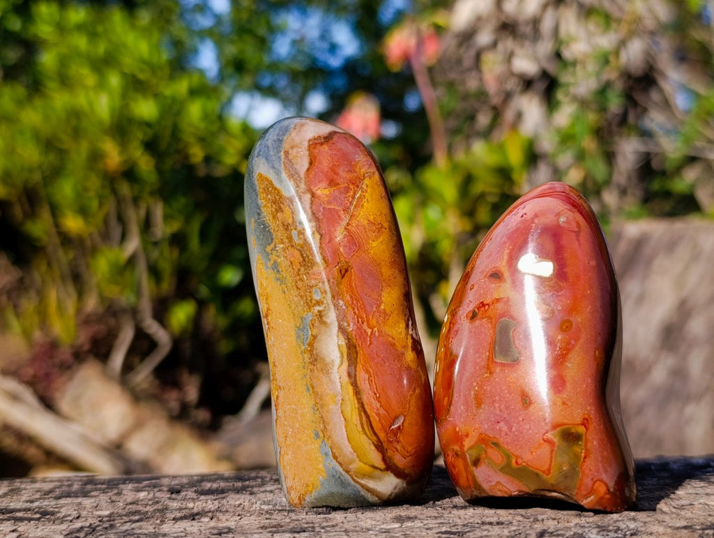 Polished On One Side Polychrome Jasper Nodules x 6 From NW Coast, Madagascar - Toprock Gemstones and Minerals 