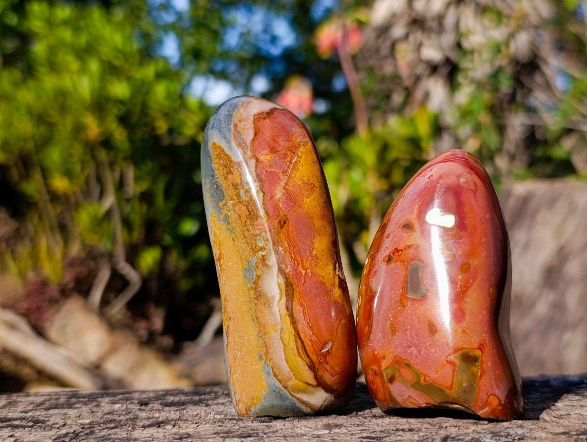 Polished On One Side Polychrome Jasper Nodules x 6 From NW Coast, Madagascar - Toprock Gemstones and Minerals 