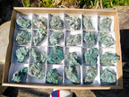 Natural Emerald Mica 'Mutokolite' Cobbed Specimens x 24 From Mutoko, Zimbabwe - Toprock Gemstones and Minerals 