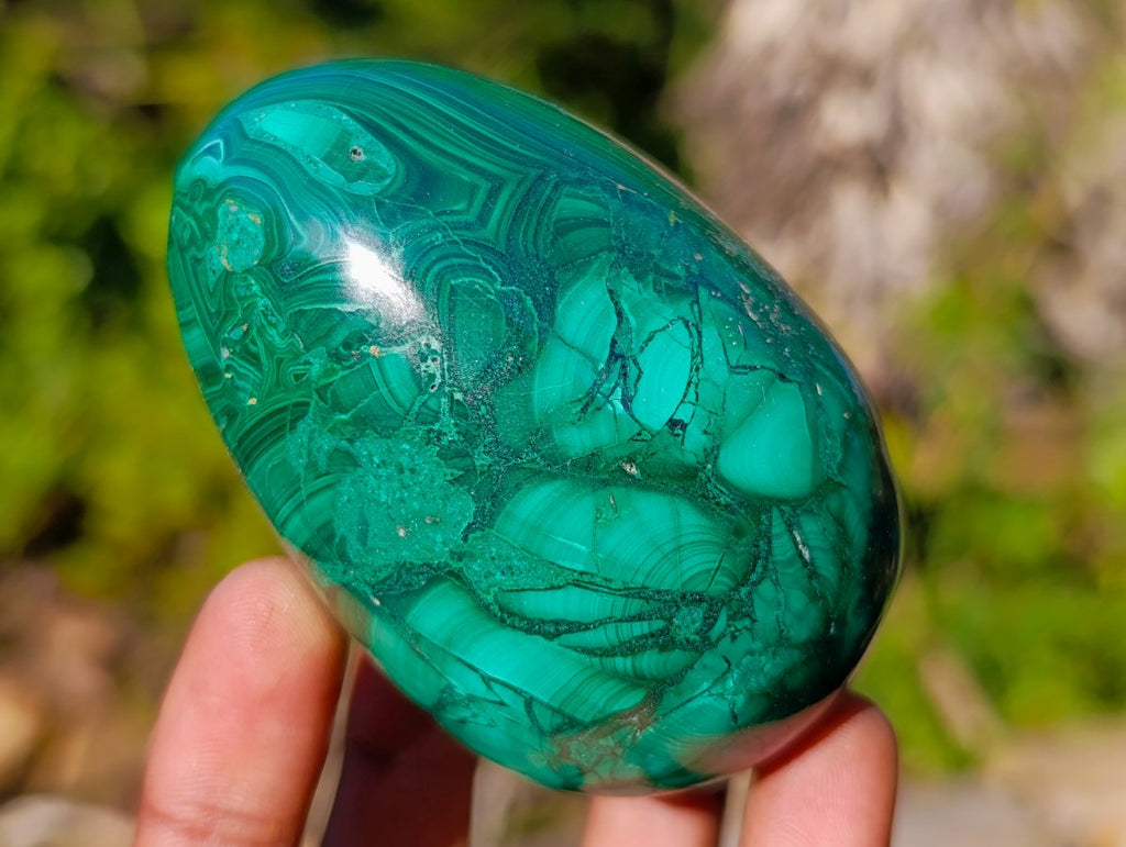 Polished Large Flower Banded Malachite Gemstone Eggs x 5 From Congo - Toprock Gemstones and Minerals 