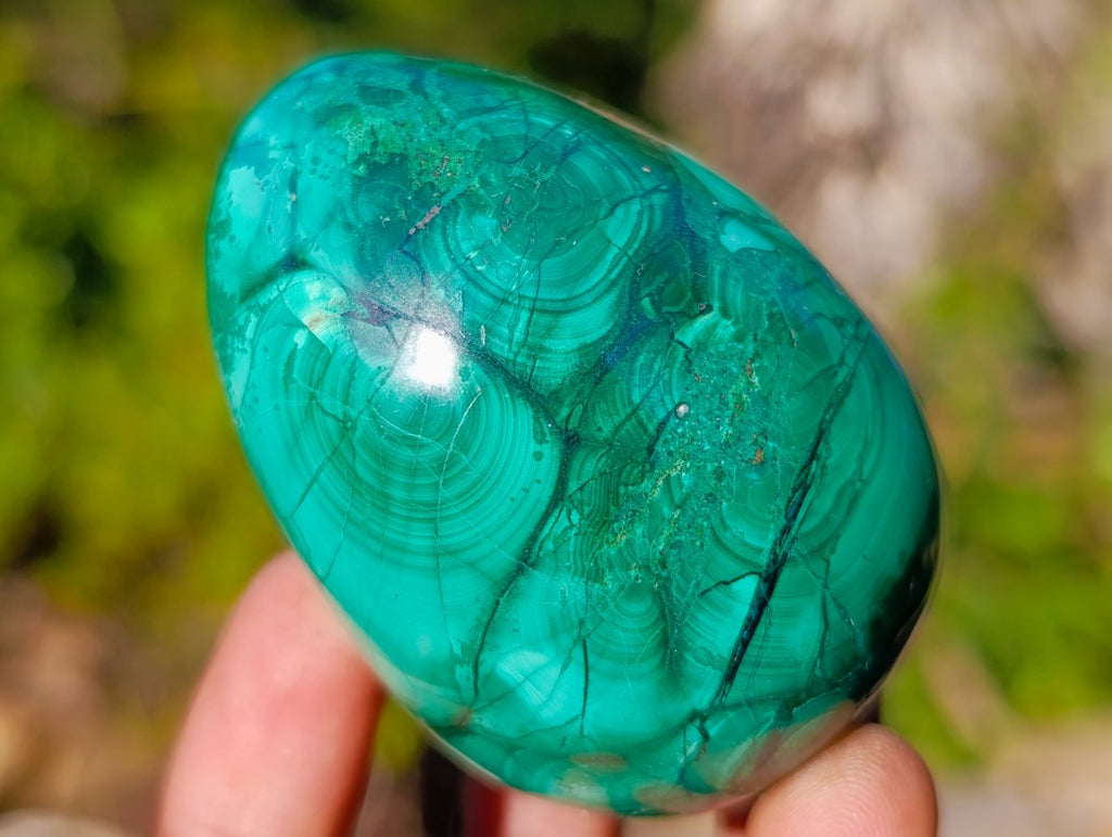 Polished Large Flower Banded Malachite Gemstone Eggs x 5 From Congo - Toprock Gemstones and Minerals 