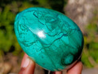 Polished Large Flower Banded Malachite Gemstone Eggs x 5 From Congo - Toprock Gemstones and Minerals 