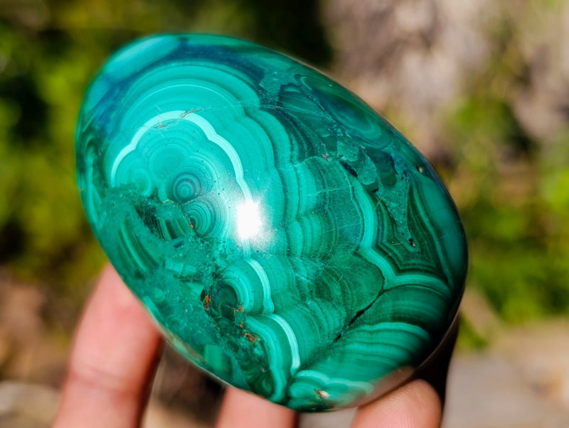 Polished Large Flower Banded Malachite Gemstone Eggs x 5 From Congo - Toprock Gemstones and Minerals 