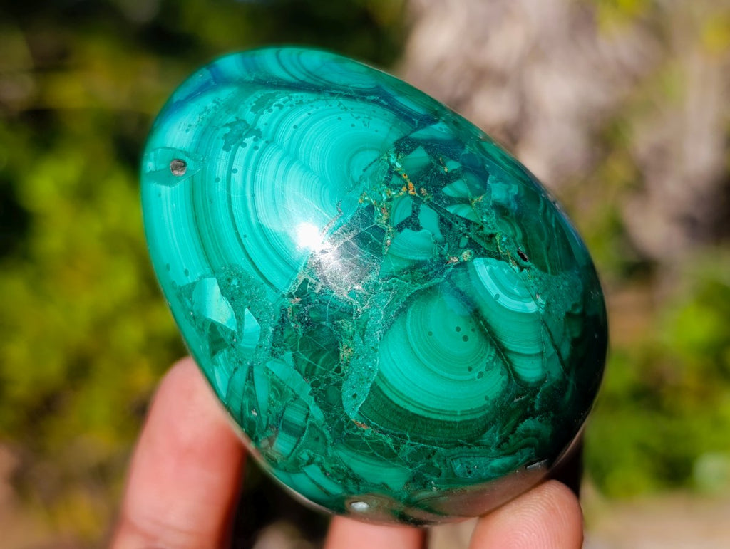 Polished Large Flower Banded Malachite Gemstone Eggs x 5 From Congo - Toprock Gemstones and Minerals 