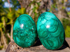 Polished Large Flower Banded Malachite Gemstone Eggs x 5 From Congo - Toprock Gemstones and Minerals 