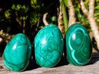 Polished Large Flower Banded Malachite Gemstone Eggs x 5 From Congo - Toprock Gemstones and Minerals 