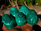 Polished Large Flower Banded Malachite Gemstone Eggs x 5 From Congo - Toprock Gemstones and Minerals 
