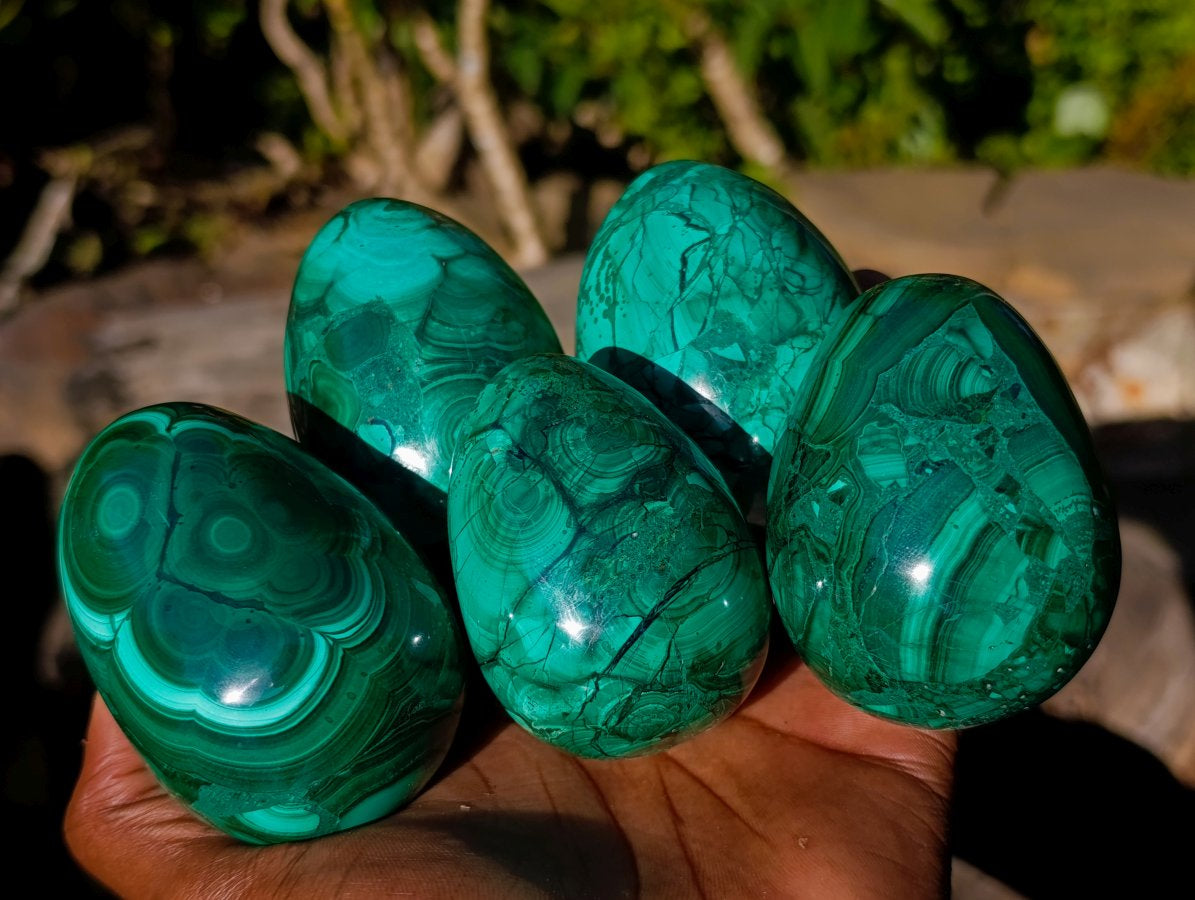 Polished Large Flower Banded Malachite Gemstone Eggs x 5 From Congo - Toprock Gemstones and Minerals 