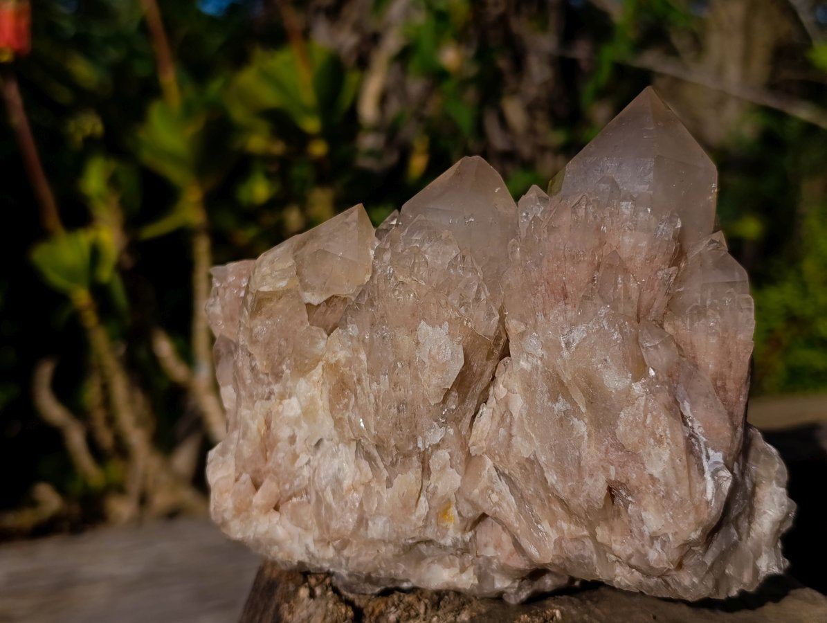 Natural Cascading White Phantom Smokey Luena Quartz Clusters x 2 From Luena, Congo - Toprock Gemstones and Minerals 