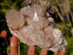 Natural Cascading White Phantom Smokey Luena Quartz Clusters x 2 From Luena, Congo - Toprock Gemstones and Minerals 