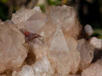 Natural Cascading White Phantom Smokey Luena Quartz Clusters x 2 From Luena, Congo - Toprock Gemstones and Minerals 
