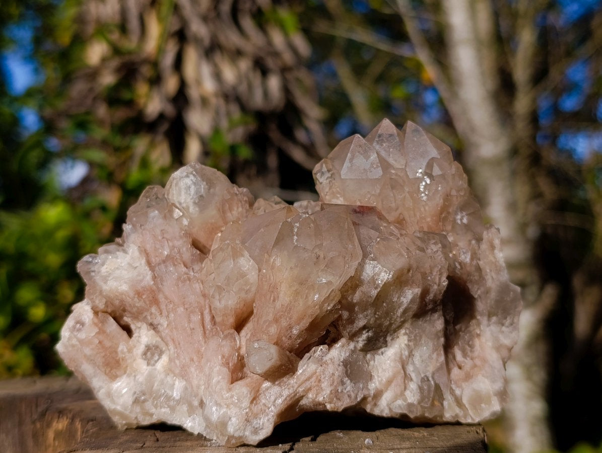 Natural Cascading White Phantom Smokey Luena Quartz Clusters x 2 From Luena, Congo - Toprock Gemstones and Minerals 