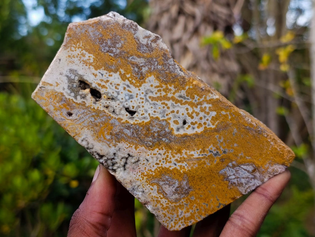 Natural Multi Mineral Specimens x 7 From Southern Africa - Toprock Gemstones and Minerals 