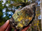 Natural Multi Mineral Specimens x 7 From Southern Africa - Toprock Gemstones and Minerals 