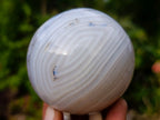 Polished Banded Agate Spheres x 5 From Madagascar - Toprock Gemstones and Minerals 