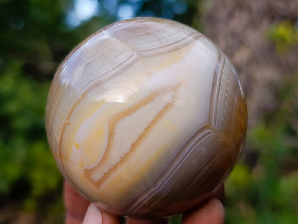 Polished Banded Agate Spheres x 5 From Madagascar - Toprock Gemstones and Minerals 