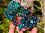 Natural Dioptase on Dolomite Specimens x 4 From Likasi, Congo - Toprock Gemstones and Minerals 