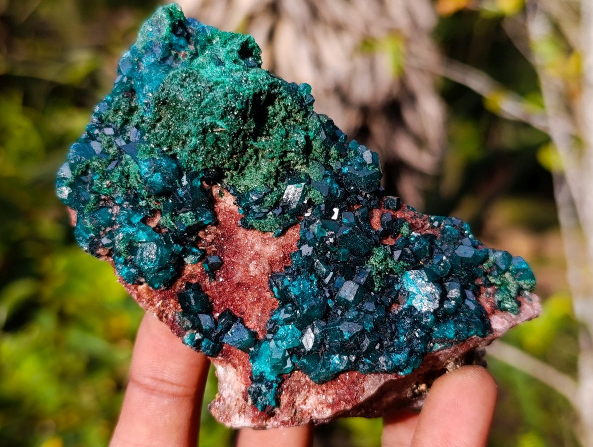 Natural Dioptase on Dolomite Specimens x 4 From Likasi, Congo - Toprock Gemstones and Minerals 