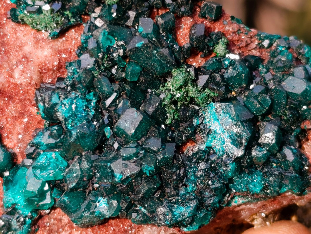 Natural Dioptase on Dolomite Specimens x 4 From Likasi, Congo - Toprock Gemstones and Minerals 